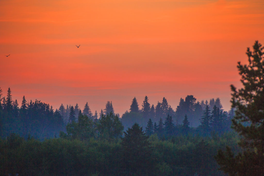 A beautful golden sunset over Edmonton.