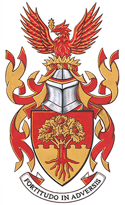 arms